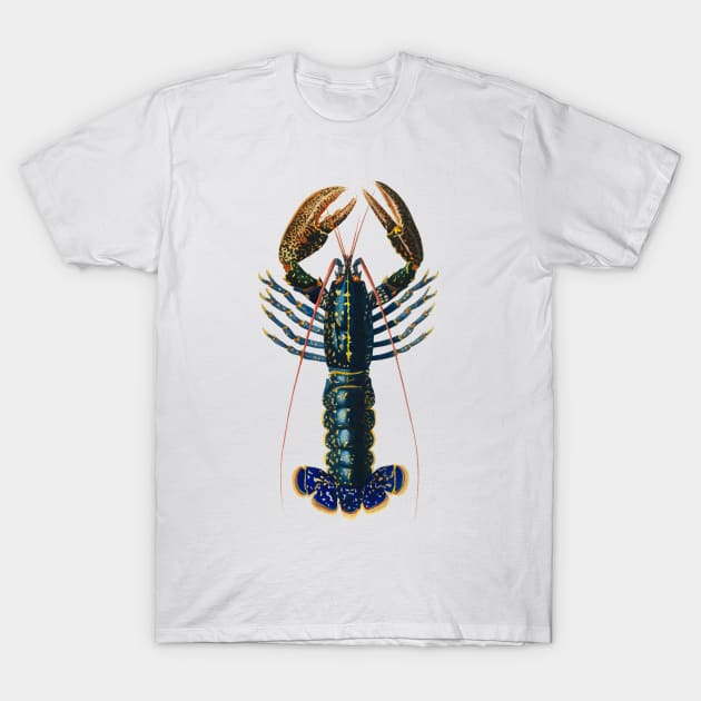 crimson crawfish T-Shirt by Allbestshirts